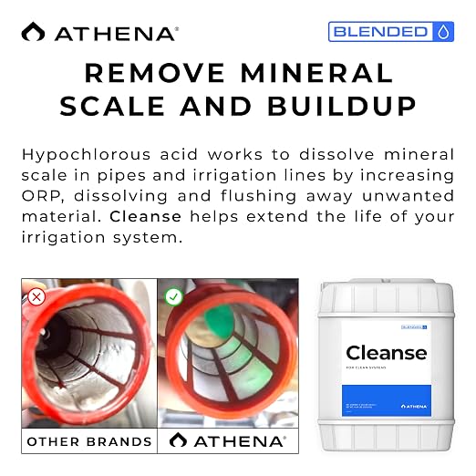 Athena Cleanse - 5 Gal