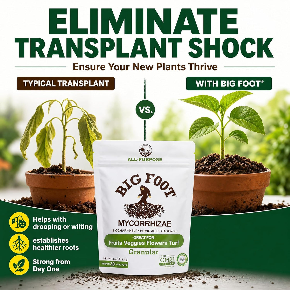Big Foot Mycorrhizae Granular - 10 lb