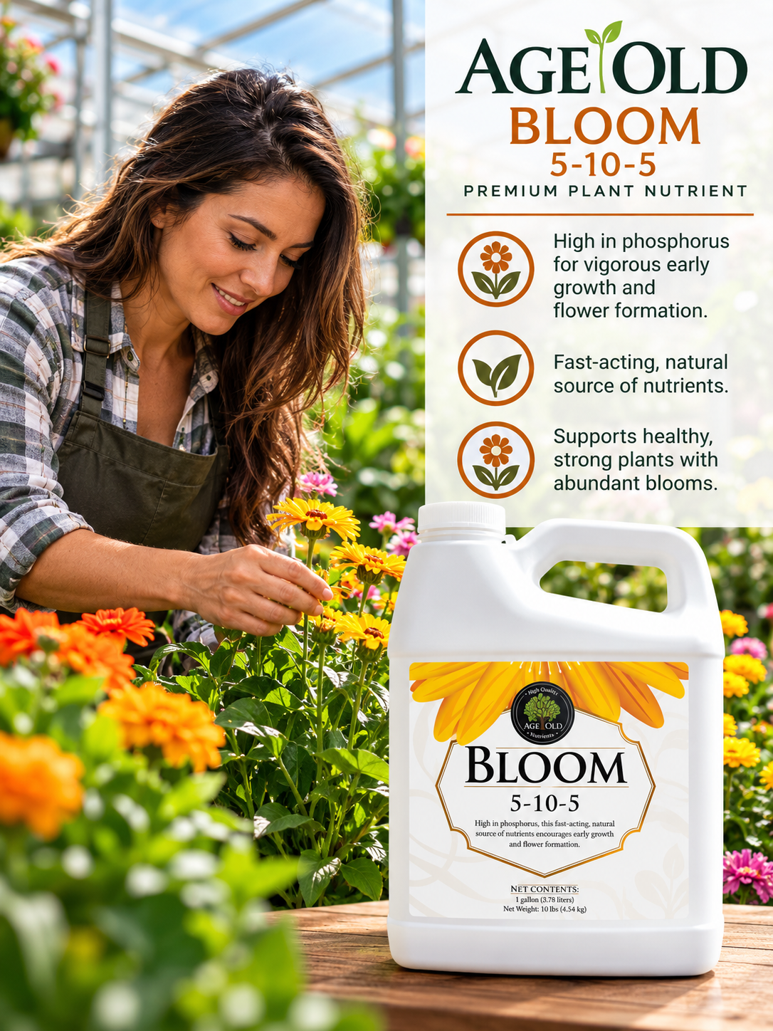 Age Old Bloom - 1 Gal