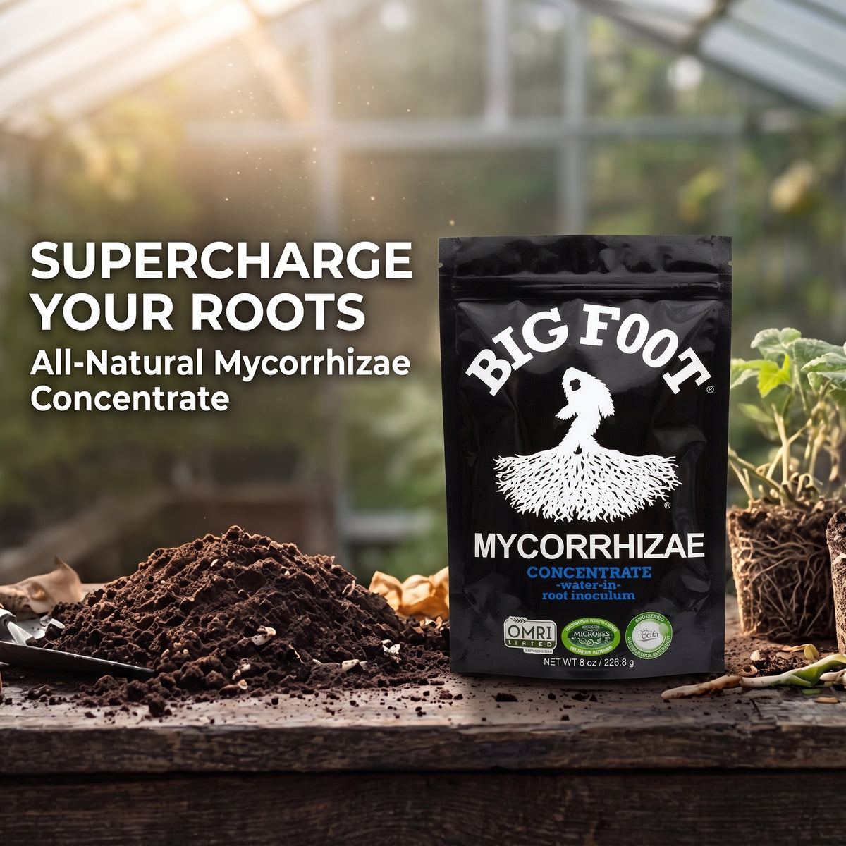 Big Foot Mycorrhizae Concentrate - 8 oz