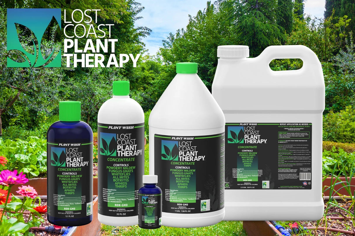 Plant Therapy 12 oz
