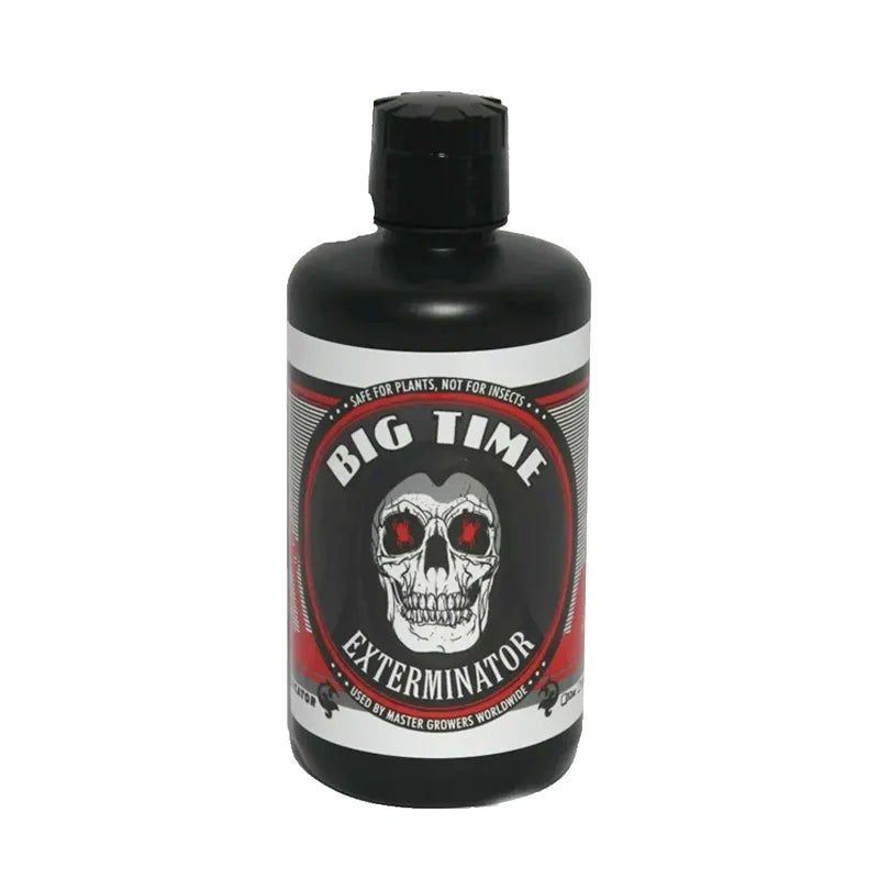 Big Time Exterminator - Qt