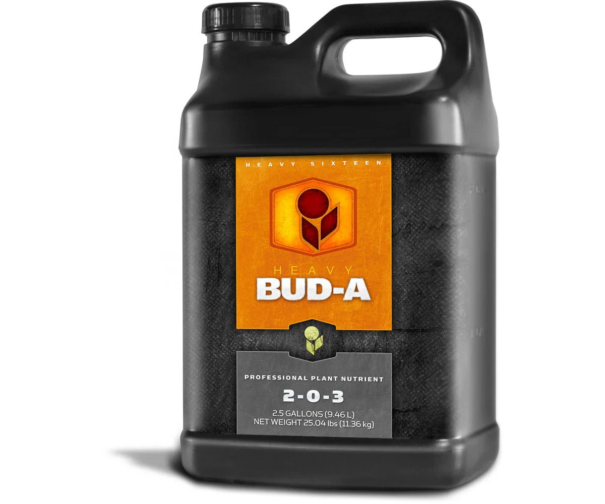 Heavy 16 Bud A 2.5 Gallon