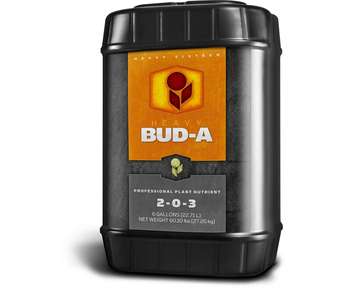 Heavy 16 Bud A 6 Gallon