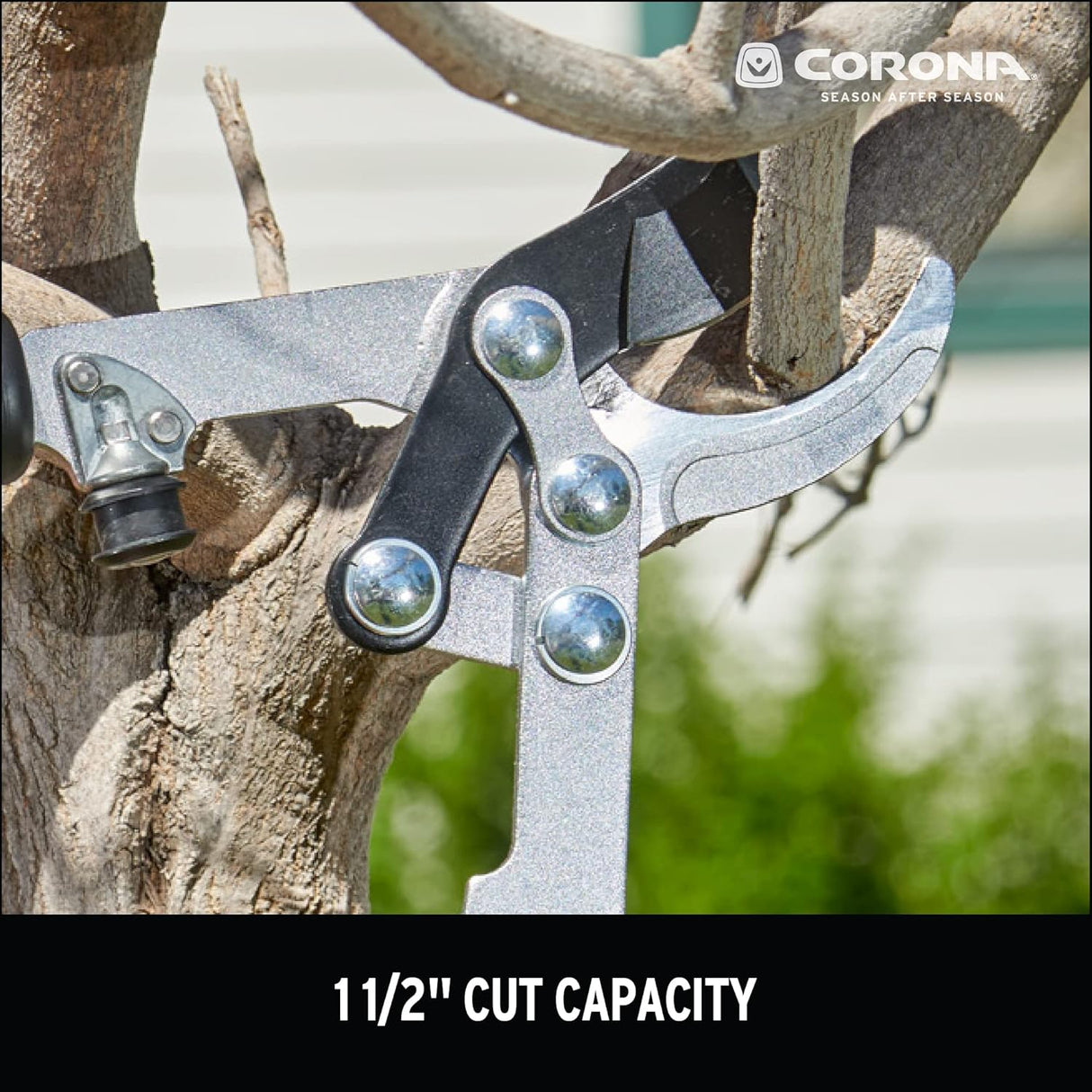 Corona EasyCUT Bypass Lopper, 32 in., 1-1/2 in. Cut Capacity