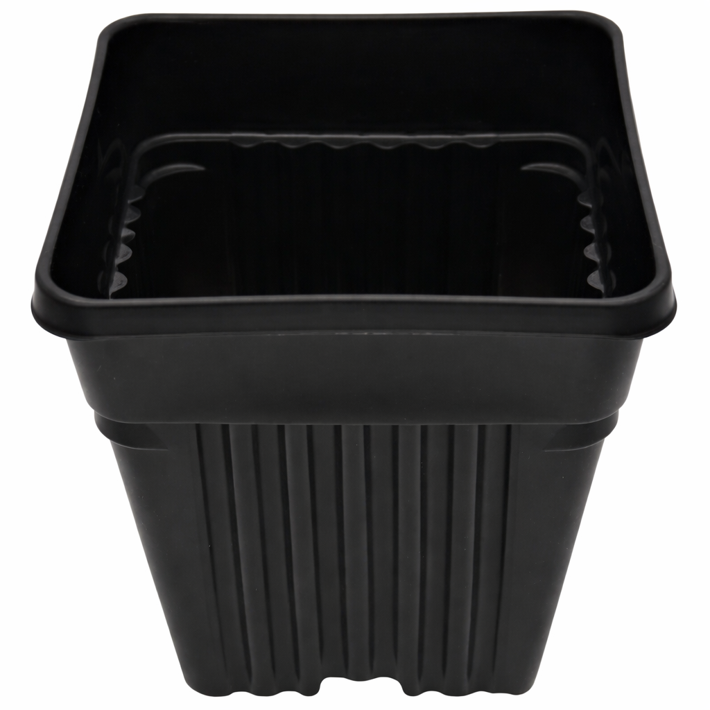 Case of 400 5.5" Dura Pots