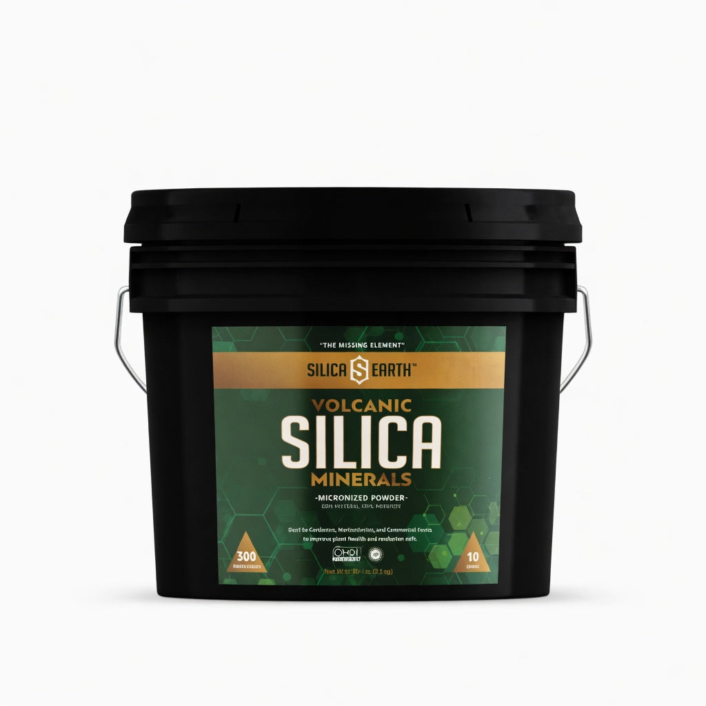 Silica Earth 10 Pound Bucket