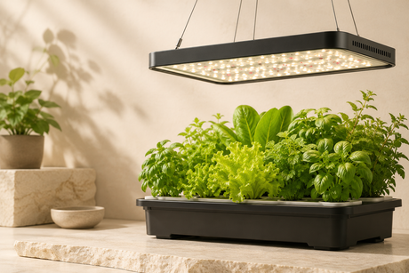 Lighting