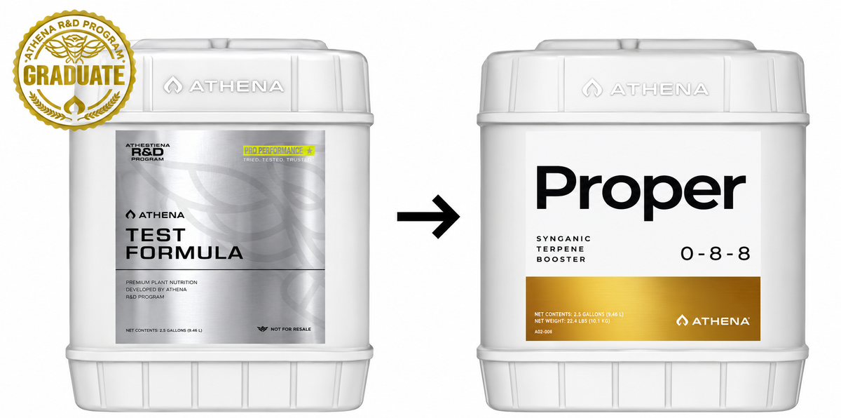 Athena Proper - 5 Gal