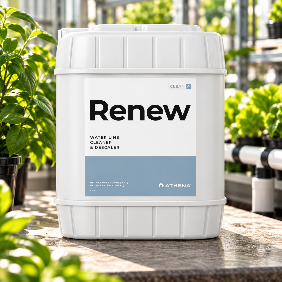 Athena Renew - 5 Gal