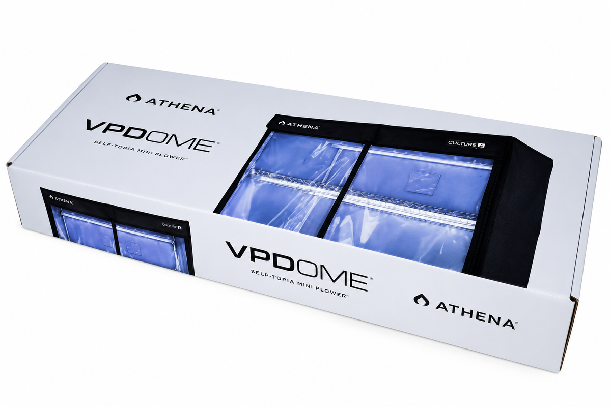 Athena VPDome