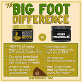 Big Foot Mycorrhizae Gold - 4 oz