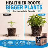 Big Foot Mycorrhizae Concentrate - 32 oz