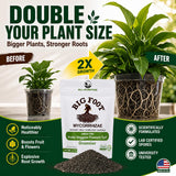 Big Foot Mycorrhizae Granular - 10 lb