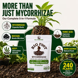 Big Foot Mycorrhizae Granular - 10 lb