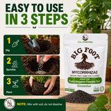 Big Foot Mycorrhizae Granular - 10 lb