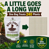 Big Foot Mycorrhizae Granular - 2 lb