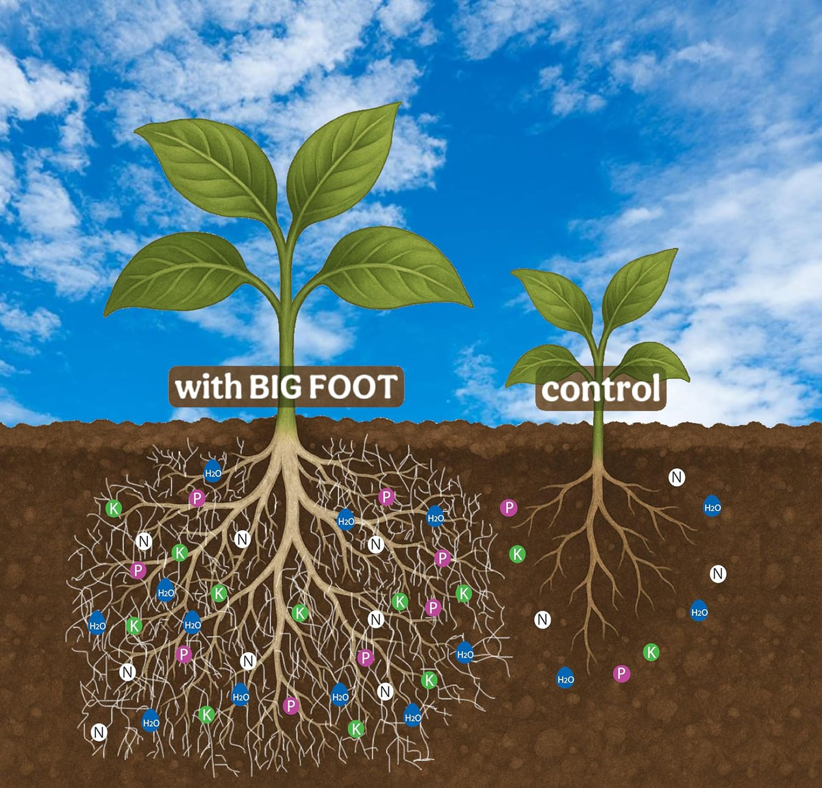 Big Foot Mycorrhizae Gold - 4 oz