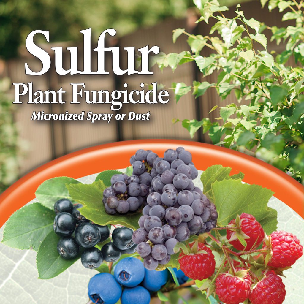 Bonide Dusting Sulfur - 4 lb