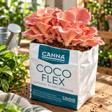 CANNA Coco Flex Case - 4L(~1 Gal) (40/Case)