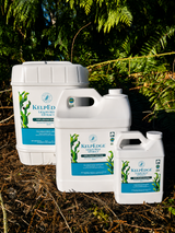 Kelp Edge Liquid Kelp 5 Gallon