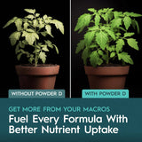 Drip Hydro Powder D - 5 lb