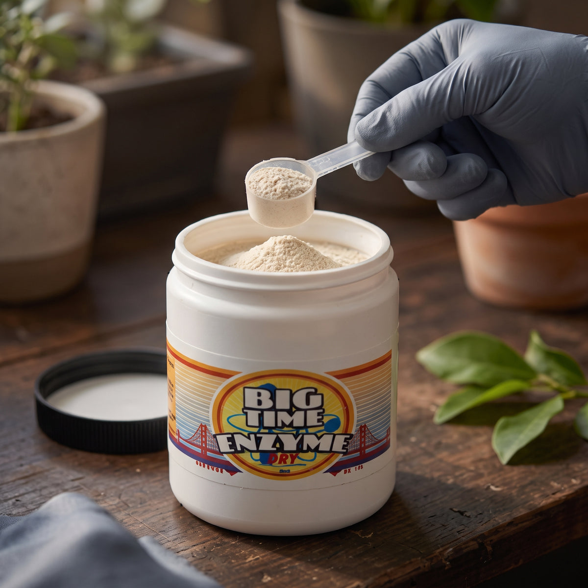 Big Time Enzyme Dry Formula - 8 oz