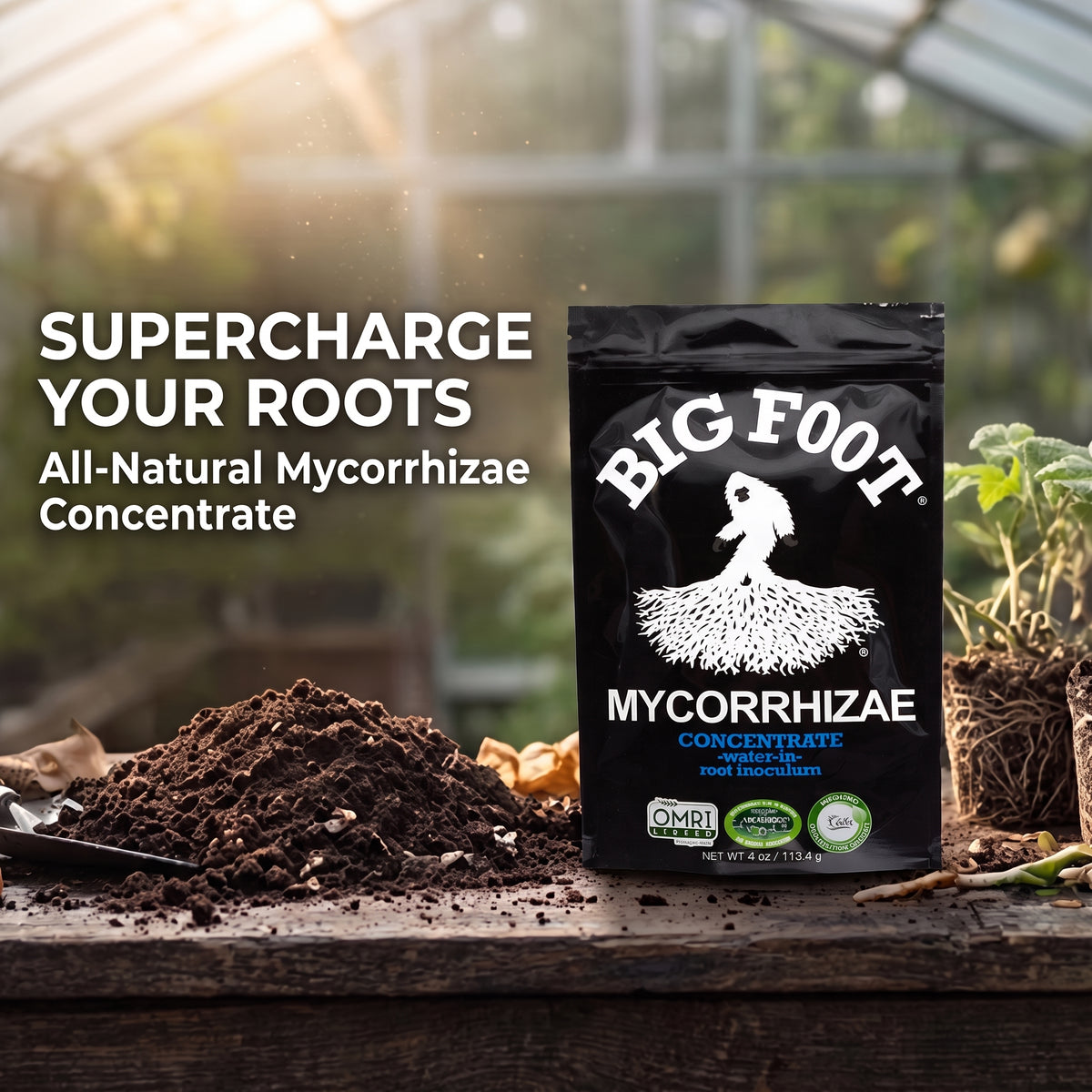 Big Foot Mycorrhizae Concentrate - 4 oz