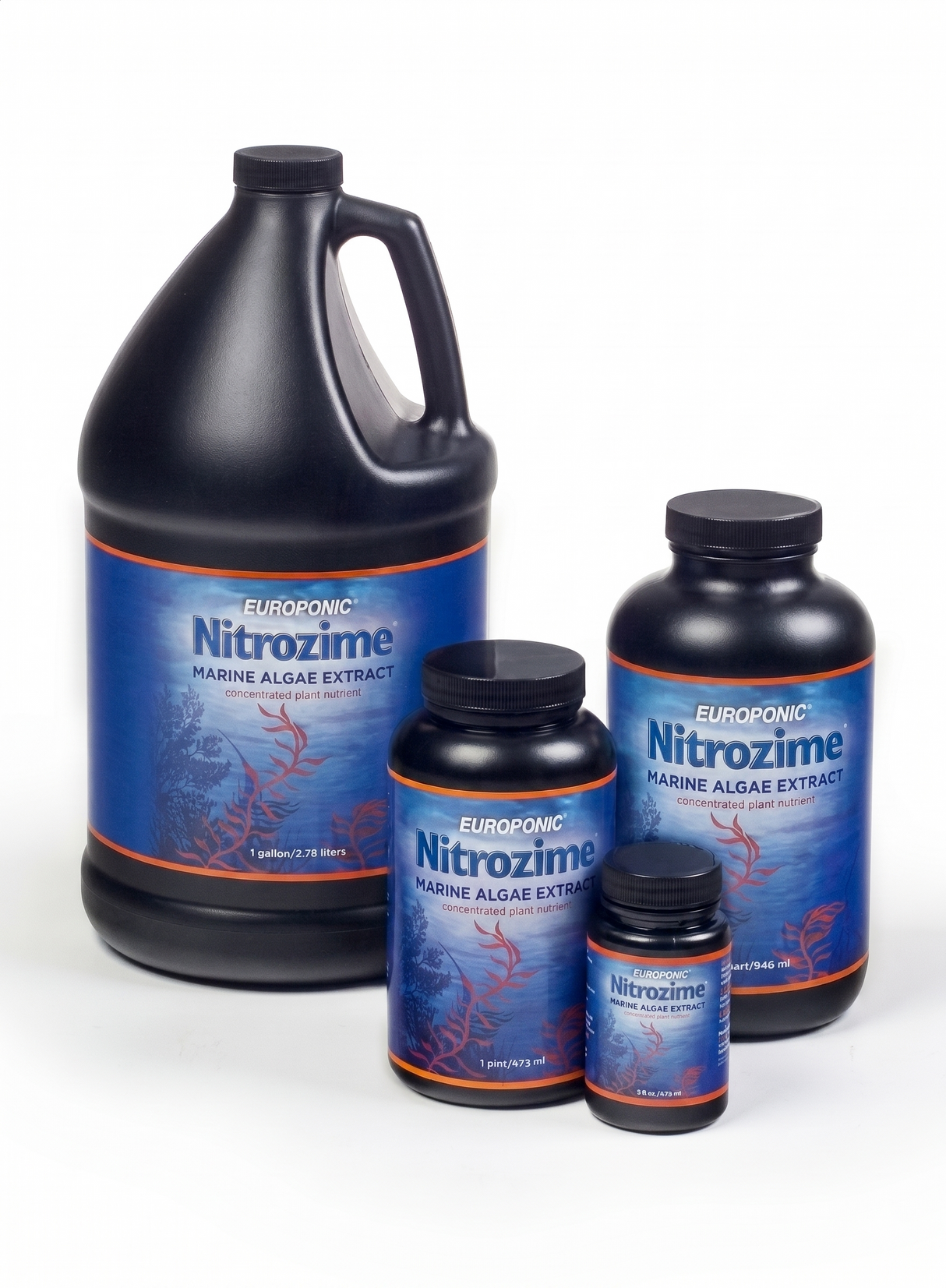 HydroDynamics Europonic Nitrozime Quart Marine Algae Extract