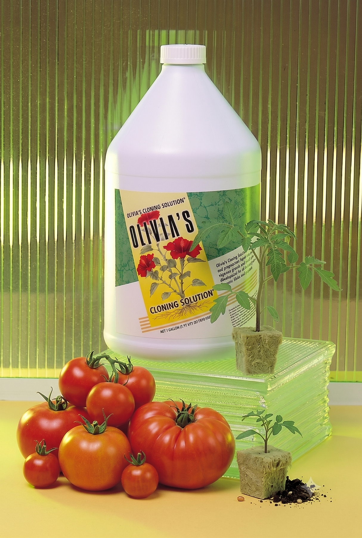 Olivia's Clone Solution Gallon