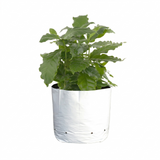 CASE 1 Gallon Sungrower Black and White Grow Bags (1800/cs)