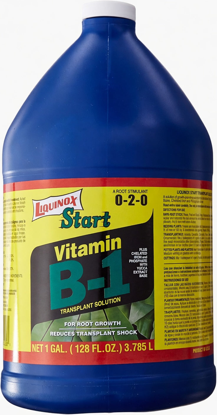 Liquinox Start B-1 Gallon