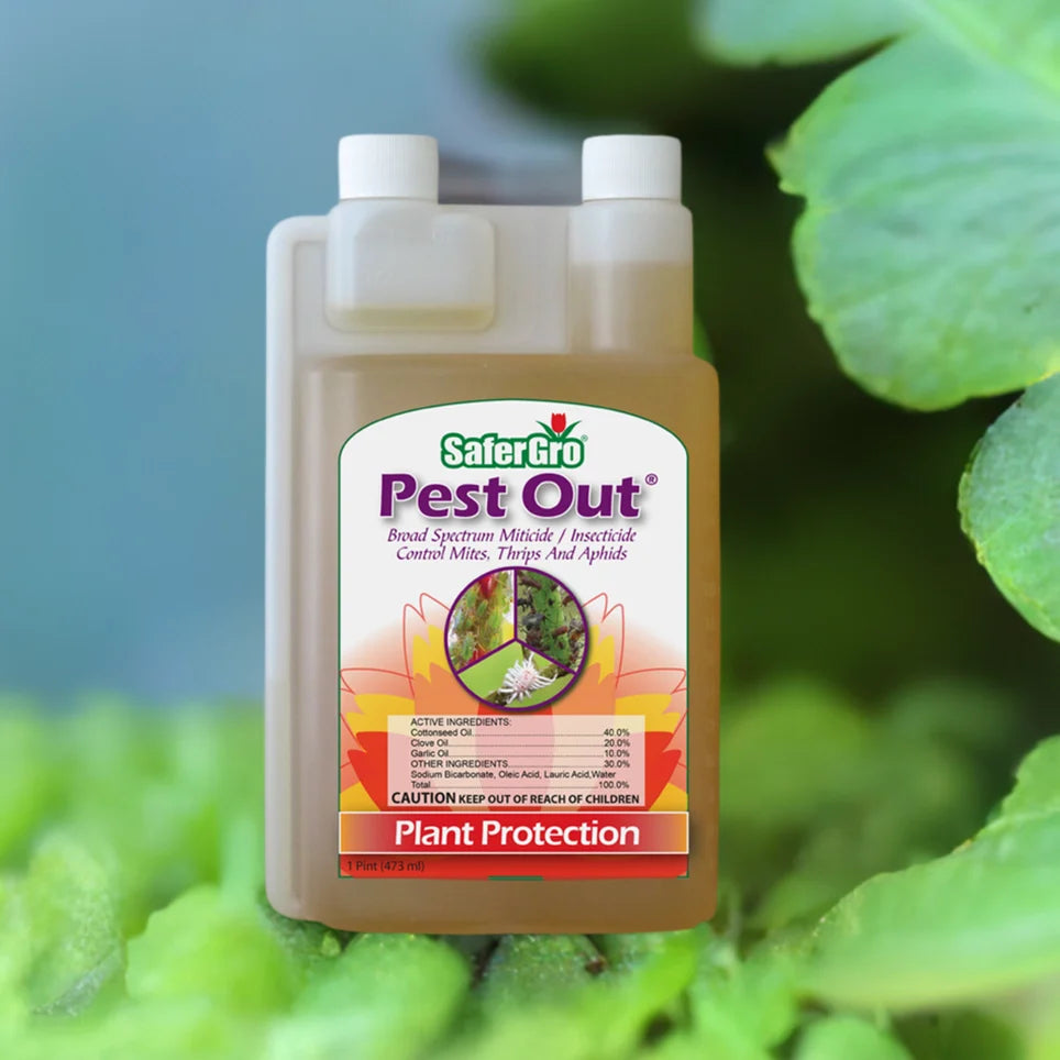 SaferGro Pest Out Quart