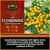 Royal Gold Crown Jewels Bloom (1-4-2) - 5 lb