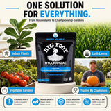 Big Foot Mycorrhizae Concentrate - 32 oz
