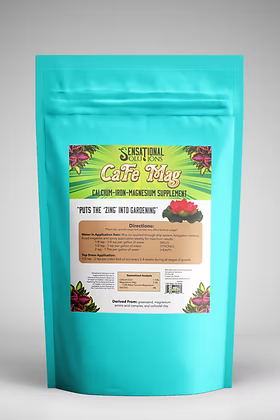 Sensational Solutions CaFe Mag Micronized 1 Pound