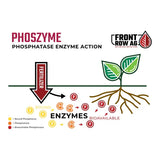 Front Row Ag Phoszyme 5 Pound
