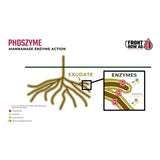 Front Row Ag Phoszyme 5 Pound