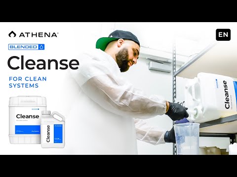 Athena Cleanse - 1 Gal
