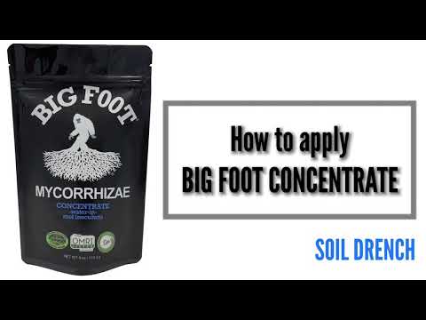 Big Foot Mycorrhizae Concentrate - 32 oz