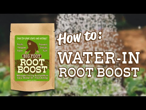 Big Foot Root Boost Azos Root Innoculant - 32 oz