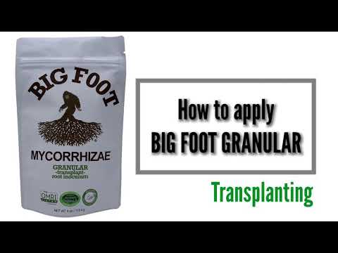 Big Foot Mycorrhizae Granular - 10 lb